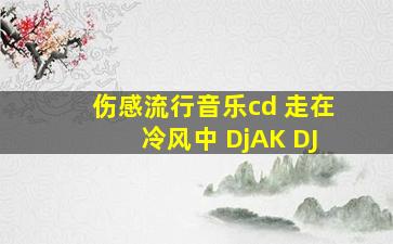 伤感流行音乐cd 走在冷风中 DjAK DJ